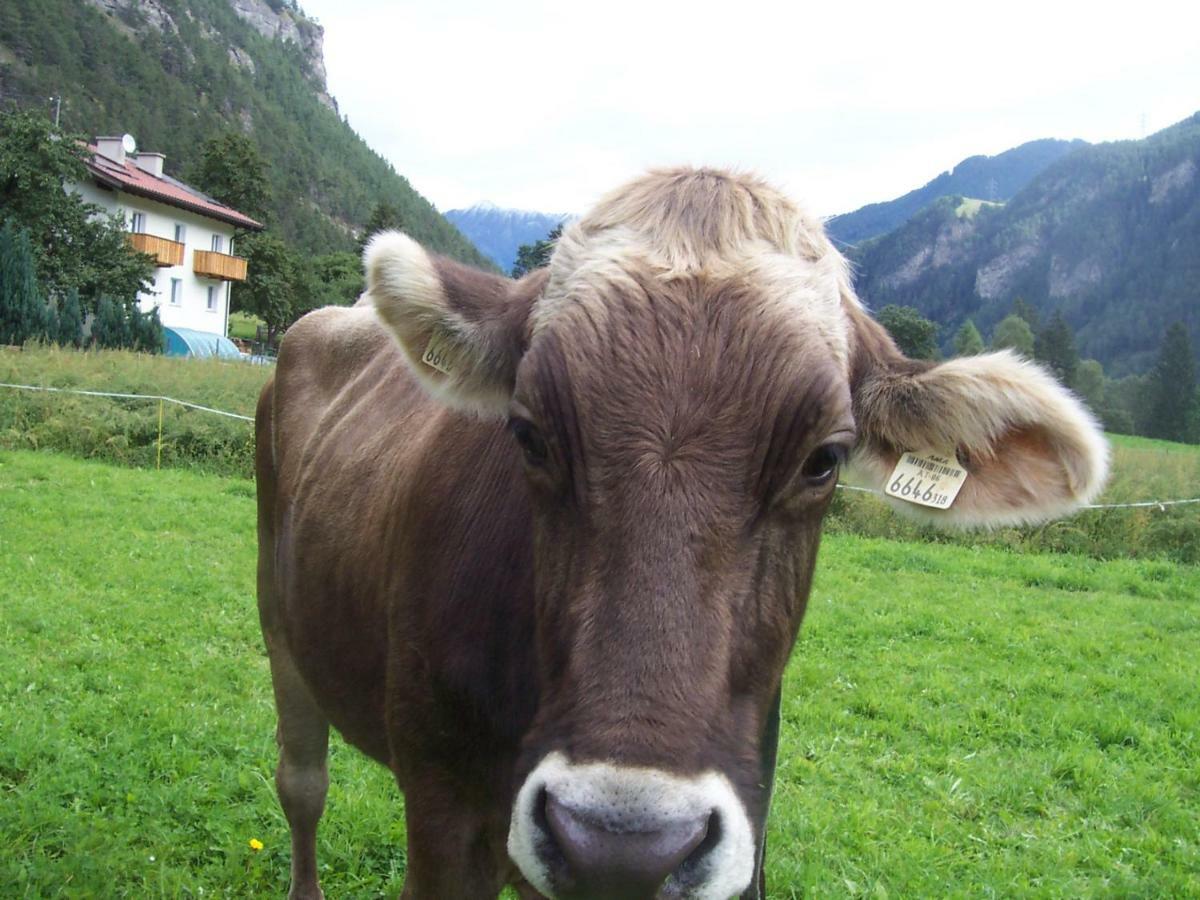 Bauernhof Gfraser Serfaus Kültér fotó